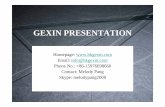 GEXIN presentation 2