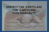 Harvesting cartilage for cartilage tympanoplasty
