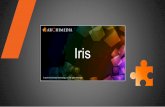 Archimedia Iris Media Intelligence. Instant video collaboration with onscreen annotations and message board.