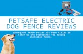 Petsafe electric dog fence