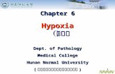 06 hypoxia