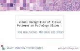 Deep Learnign Histology Pattern Recogntion for Healthcare and Drug Discovery