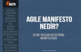 Agile Manifesto Nedir