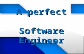 A perfect Software Engineer