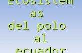 Ecosistemas del polo al ecuador- Alba and Candela