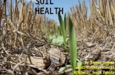 Soil Health On the Ground