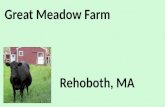 Great Meadow farm