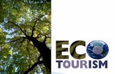 Ecotourism (Introduction)