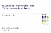 Business networks and telecomunication