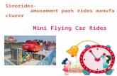 Mini Flying Car Rides