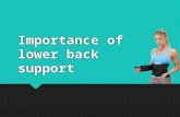 Importance of lower back support