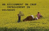 crop improvemnet in oilseeds