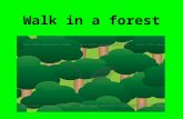 Walk in a Forest