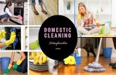 Domestic Cleaning in Nottinghamshire