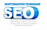 Seo Optimization Techniques