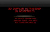 3 d power doppler ultrasound