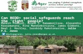 Can REDD+ social safeguards reach the 'right' people?