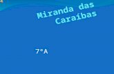 Miranda das caraibas