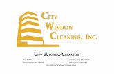 City window cleaning professional services