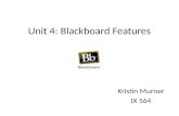 Ix564 week 4 blackboard wiki