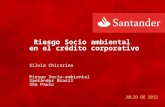 Taller ALIDE-BID-BROU (Sesión1.b): Riesgo socio-ambiental en el crédito corporativo, Silvia Chicarino, Santander Brasil