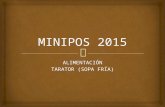 Minipos 2015