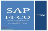SAP Asset Accounting