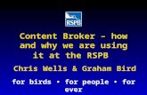 Tridion Content Broker - how and why we are using it at the RSPB (2007)