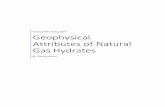 Geophysical Attributes of Natural Gas Hydrates