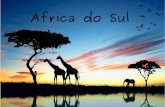 Africa do sul e suas características