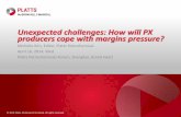 Michelle Kim_PX margins under pressure(Platts Shanghai Forum Apr 16 2014)