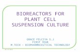 Bioreactors for plant cell suspension culture