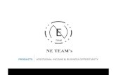 NE Team's Project in English