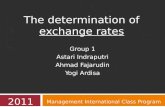 The Determination of Exchange Rates2