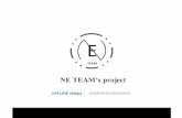 NE Team's Project PL 40P