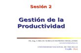 Sesión 2 gestión de la productividad