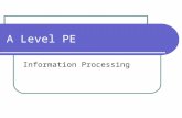 A level PE Info Processing 2013