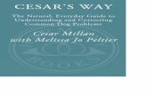Cesar’s way   the natural, everyday guide to understanding and correcting common dog problems