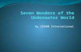 Seven wonders of the underwater world