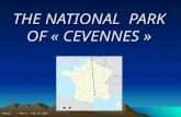  the Cevennes by Aymeric