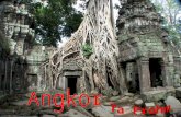 Angkor, Temple Ta Prohm