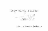 Incy Wincy Spider Song Marta