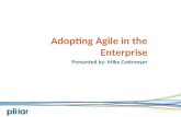 Adopting Agile in the Enterprise - Pillar Technology