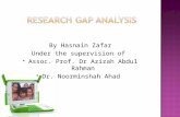 Hasnain ph d_gap analysis_pre