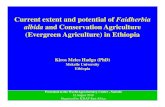 Current extent and potential of Faidherbia albida and Conservation Agriculture (Evergreen Agriculture) in Ethiopia