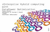 zEnterprise Hybrid computing with DataPower Optimization Blades