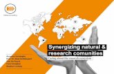 Synergizing natural and research communities: Caring about the research ecosystem