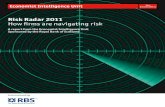 Risk Radar 2011: How firms are navigating risk