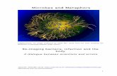 Microbes & Metaphors Report