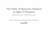 Presentation   the state of business analysis in agile projects